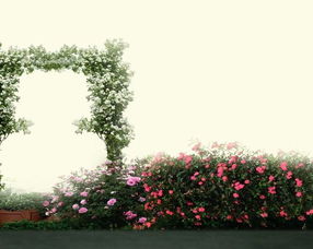 林木之韵 寓意深远、创意无限的办公家具公司命名大全