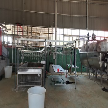 家禽加工自动化新高度 鸡、鸭、鹅、鸽一体化屠宰流水线探秘