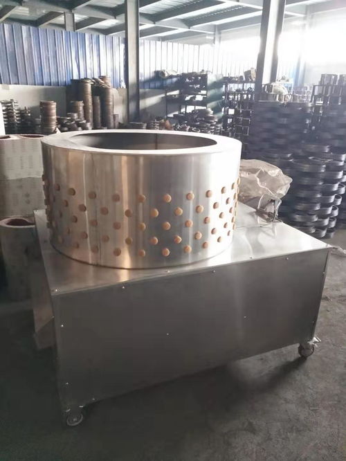 全自动鸡鸭脱毛机 提升家禽加工效率的现代化利器