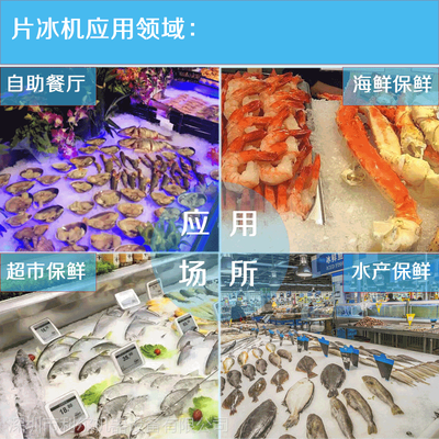 深圳利尔片冰机 家禽加工行业的理想冷却解决方案