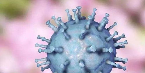 美国H7N3高致病性禽流感爆发 对家禽加工业与人类健康的双重挑战