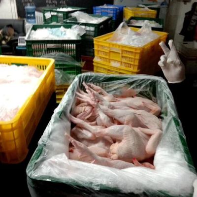 麻鸡家禽 广州净膛鸡鸭便宜供应，送货上门与加工分拣服务